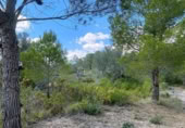 Terreno no urbanizable en venta en la España, el Perelló, ref: TR123290 foto