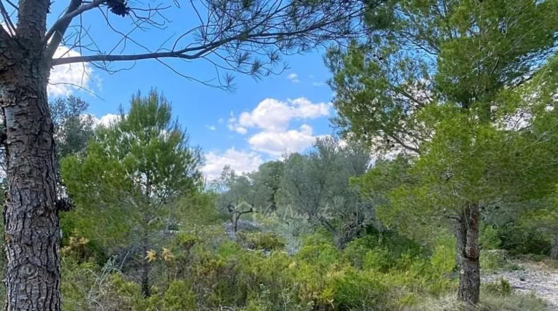 Tarragona - el Perelló - 16518m2