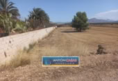 Terreny no urbanitzable en venda a la España, Novelda, ref.: TR123775 foto