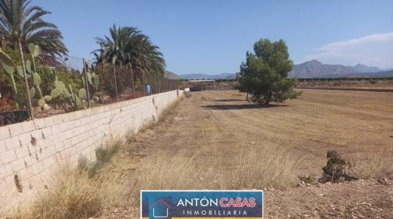 Alicante - Novelda - 4865m2