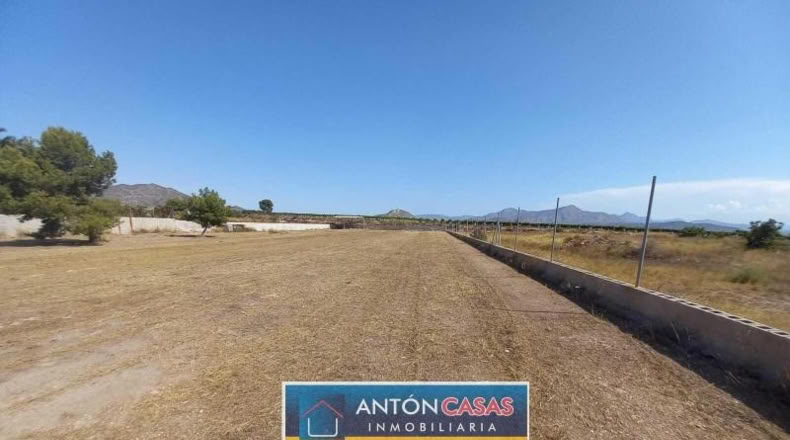Alicante - Novelda - 4865m2