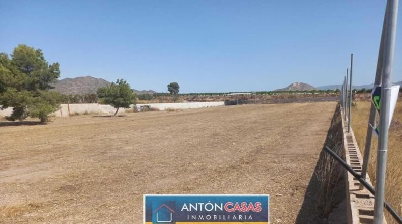 Alicante - Novelda - 4865m2