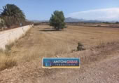 Terreny no urbanitzable en venda a la España, Novelda, ref.: TR123775 foto