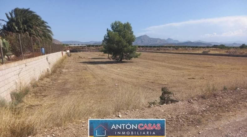 Alicante - Novelda - 4865m2