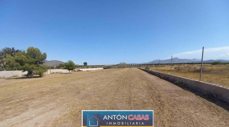 Alicante - Novelda - 4865m2