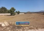 Terreny no urbanitzable en venda a la España, Novelda, ref.: TR123775 foto