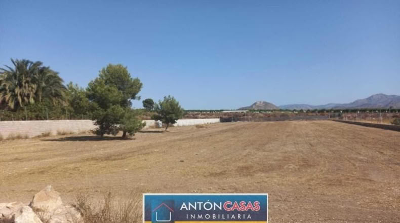 Alicante - Novelda - 4865m2
