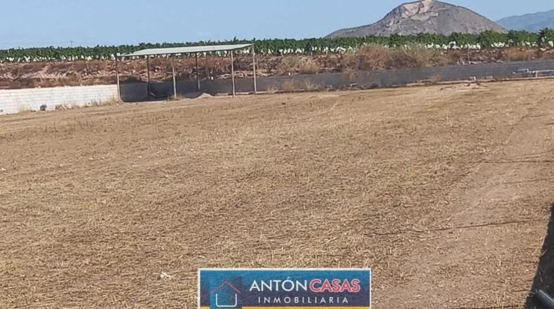 Alicante - Novelda - 4865m2