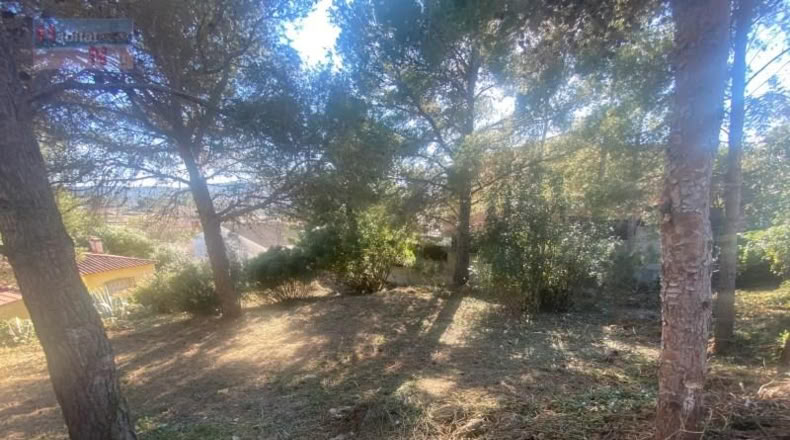 Tarragona - la Bisbal del Penedès - 495m2