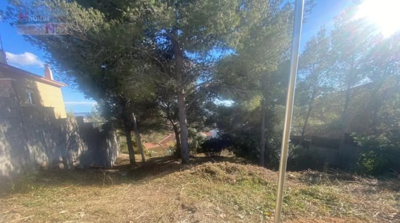 Tarragona - la Bisbal del Penedès - 495m2