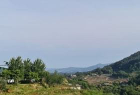 Tomiño 4350&nbsp;m²