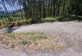 Tomiño 4350&nbsp;m²
