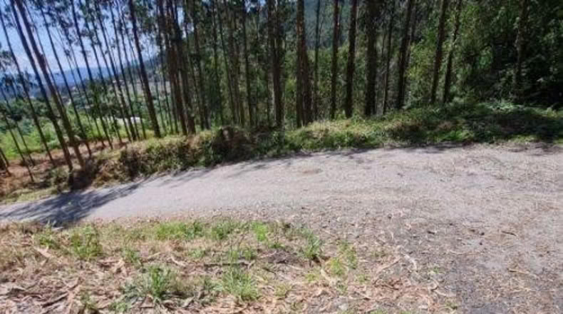 Pontevedra - Tomiño - 4350m2