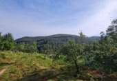 Urban land for sale on España, Tomiño, ref: TR124755 photo
