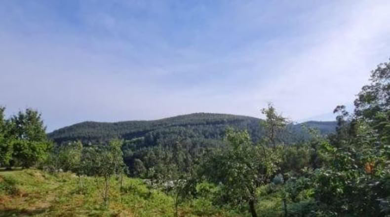 Pontevedra - Tomiño - 4350m2