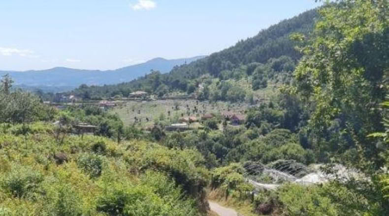 Pontevedra - Tomiño - 4350m2