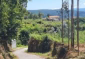 Urban land for sale on España, Tomiño, ref: TR124755 photo