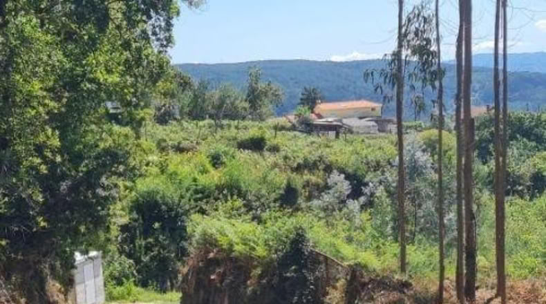 Pontevedra - Tomiño - 4350m2