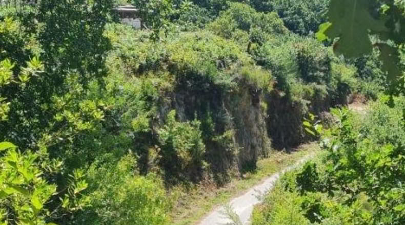Pontevedra - Tomiño - 4350m2