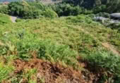 Urban land for sale on España, Tomiño, ref: TR124755 photo