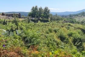 Tomiño 4350&nbsp;m²