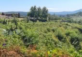 Urban land for sale on España, Tomiño, ref: TR124755 photo