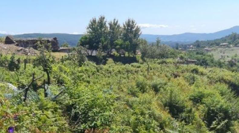 Pontevedra - Tomiño - 4350m2