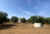 Parcel·la urbanitzable en venda a la España, La Puebla de Cazalla, ref.: TR271624 foto