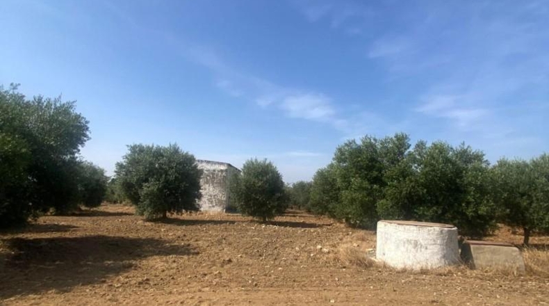 Sevilla - La Puebla de Cazalla - 6400m2