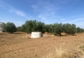 Parcel·la urbanitzable en venda a la España, La Puebla de Cazalla, ref.: TR271624 foto