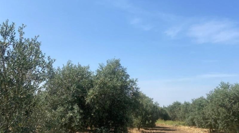 Sevilla - La Puebla de Cazalla - 6400m2