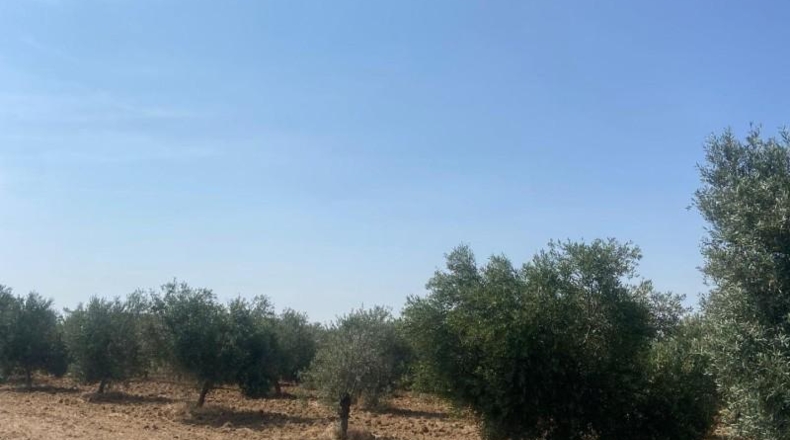 Sevilla - La Puebla de Cazalla - 6400m2