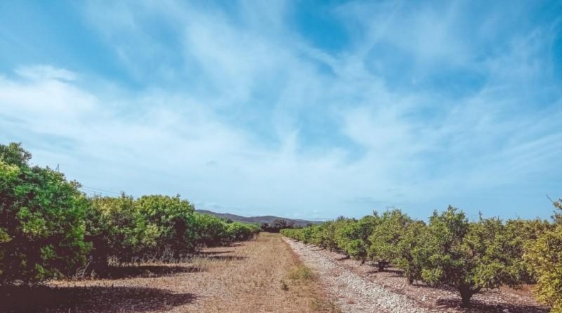 Tarragona - Santa Bàrbara - 21545m2