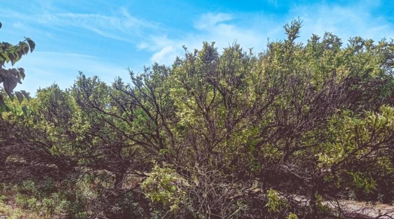 Tarragona - Santa Bàrbara - 21545m2