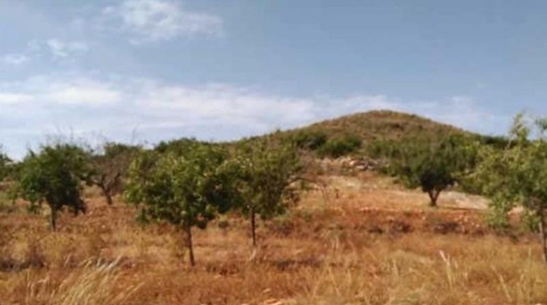 Murcia - Cartagena - 46875m2