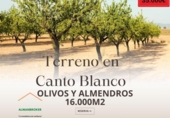 Terreno no urbanizable en venta en la España, Almansa, ref: TR276714 foto