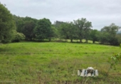 House with land for sale on España, Cicero, ref: TR276713 photo
