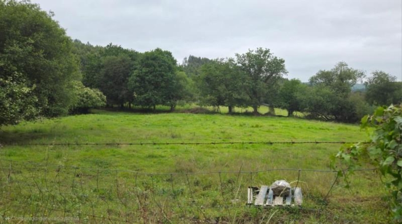 Cantabria - Bárcena de Cicero - 3000m2