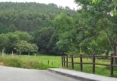 House with land for sale on España, Cicero, ref: TR276713 photo