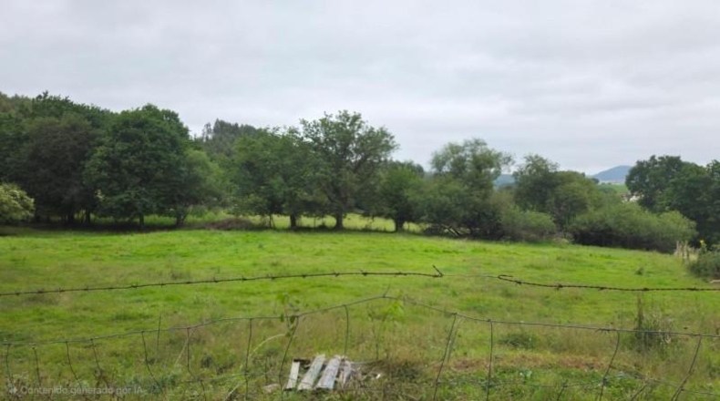 Cantabria - Bárcena de Cicero - 3000m2