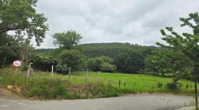 Cantabria - Bárcena de Cicero - 3000m2