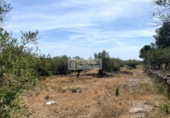 Terreno no urbanizable en venta en la España, el Perelló, ref: TR255801 foto