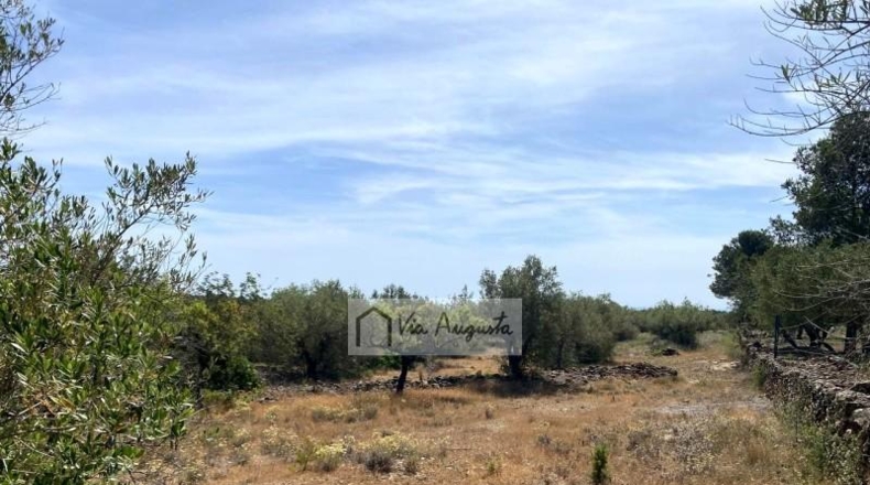 Tarragona - el Perelló - 12444m2