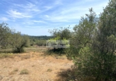 Terreno no urbanizable en venta en la España, el Perelló, ref: TR255801 foto