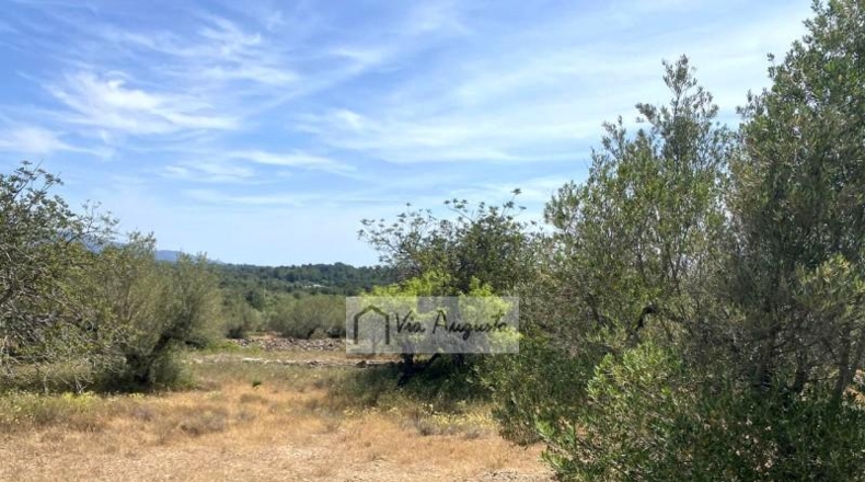 Tarragona - el Perelló - 12444m2