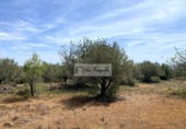 Terreno no urbanizable en venta en la España, el Perelló, ref: TR255801 foto