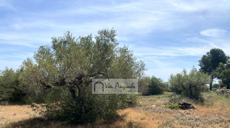 Tarragona - el Perelló - 12444m2