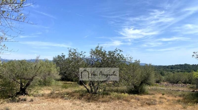 Tarragona - el Perelló - 12444m2