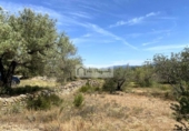 Terreno no urbanizable en venta en la España, el Perelló, ref: TR255801 foto