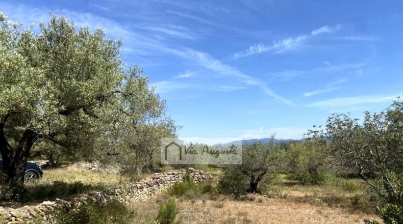 Tarragona - el Perelló - 12444m2